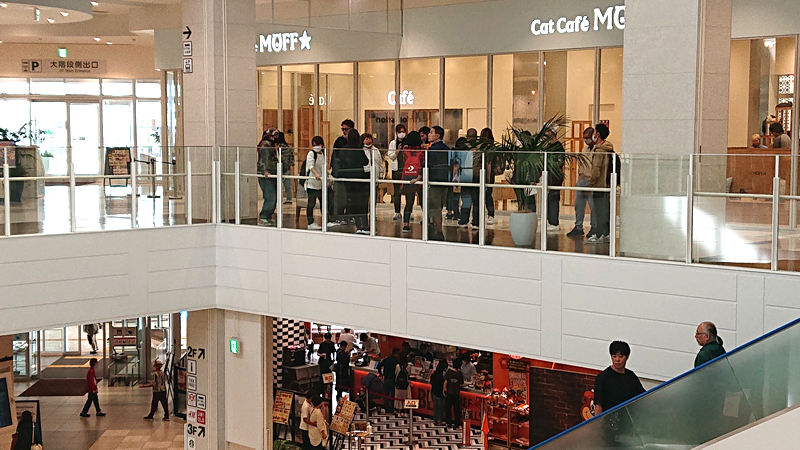 沖縄観光開発【レクレーション活動／お出かけショッピング＆スポーツレク】