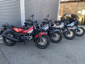 PG-1入荷しました❗️