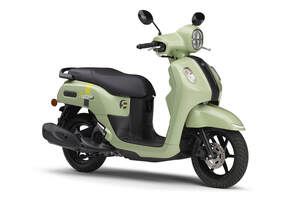 Fazzio(ファツィオ)発売❗️