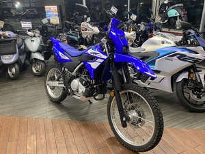 WR125R、試乗車用意できました❗️