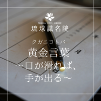琉球ことのは　～口が滑れば、手が出る〜