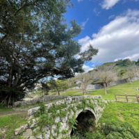 歴史散歩vol.9　ヒジ川橋及び取り付け道路