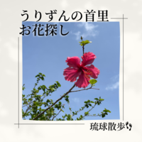 琉球散歩vol.48　うりずんの首里 お花探し