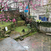 歴史散歩vol.8　大川(ウフカー)