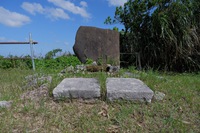 琉球散歩vol.13　火立毛（フィータティモー）