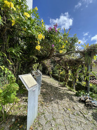 琉球散歩vol.28　仲之川（ナカヌガー）