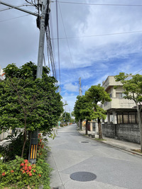 琉球散歩vol.15　崎山馬場