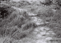 琉球散歩vol.37　ヒジ川橋