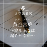 琉球ことのは　〜寝たふりは起こせない〜