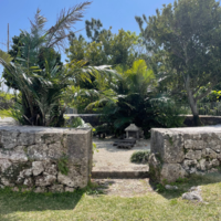 歴史散歩vol.11　雨乞御嶽・御茶屋御石獅子