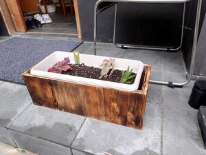 	サボり過ぎたBLOG