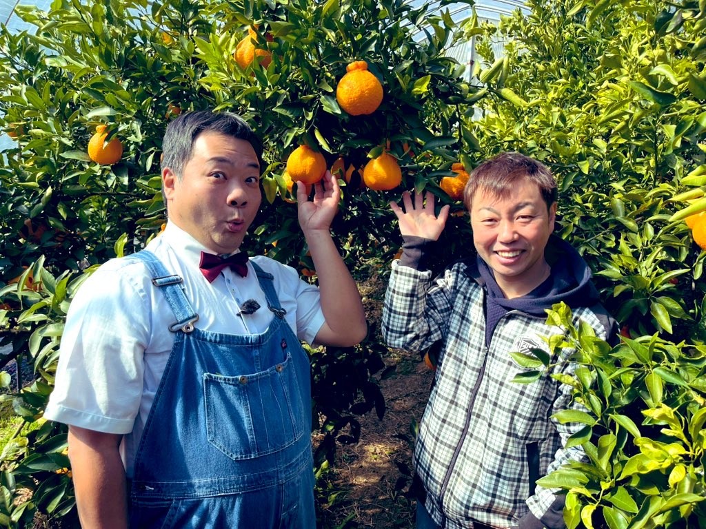くまレオちゃん様 お得な屋根かけ栽培熊本産 不知火デコポン デコポン | JA熊本うき