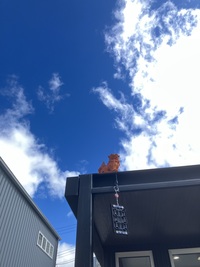 昨日はすごい雨でしたね。今日の空は　とってもきれいな青空です。上組の事務所の屋根には　先日　社長がつけてくれた虫よけとシーサーが初夏を感じさせます