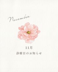 11月の診療カレンダーのお知らせ