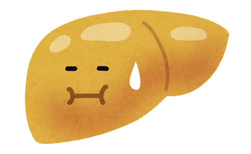 がんリスク 油断大敵 脂肪肝?!〜減量して脂肪肝を改善しよう〜