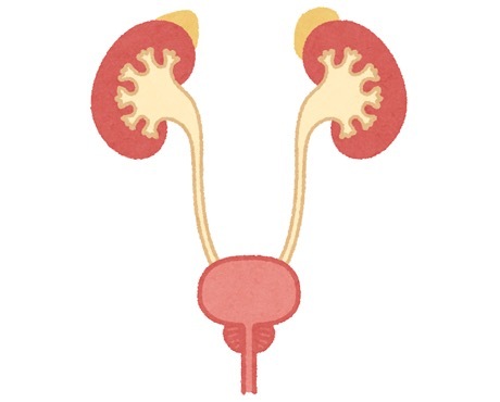 症状が当てはまったらすぐ医療機関へ！〜糖尿病の診断〜