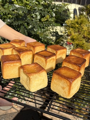 若草店、新商品を更新しました！のイメージ