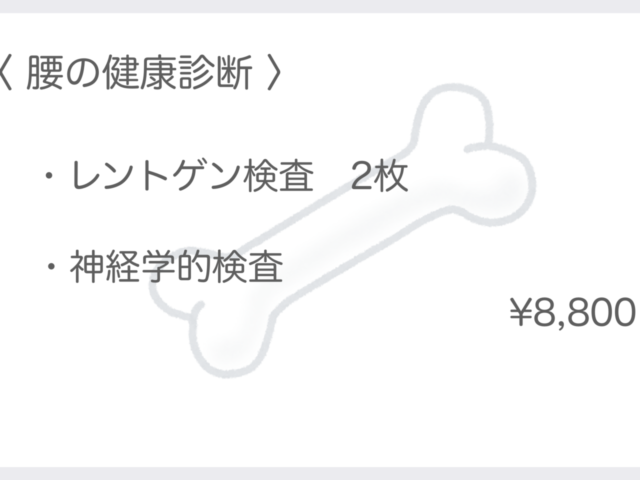 隠れ腰痛を探せ検査
