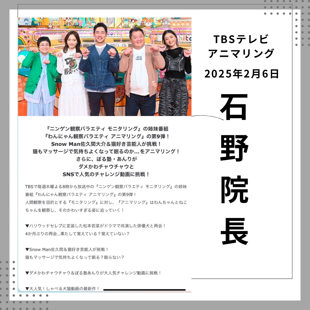 わんにゃん観察バラエティ　アニマリング