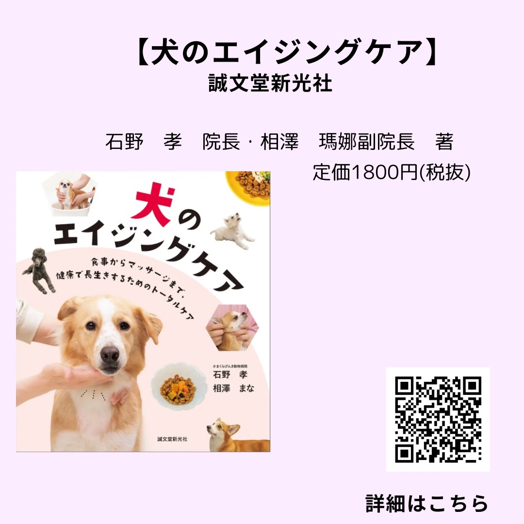 犬のエイジングケア