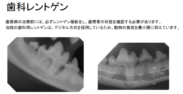 歯科ユニット・歯科用レントゲン導入のお知らせ