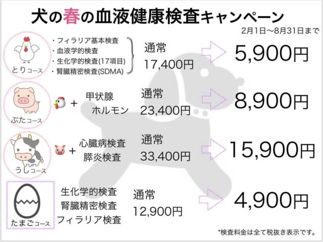 ワンちゃんの春の血液検査キャンペーン