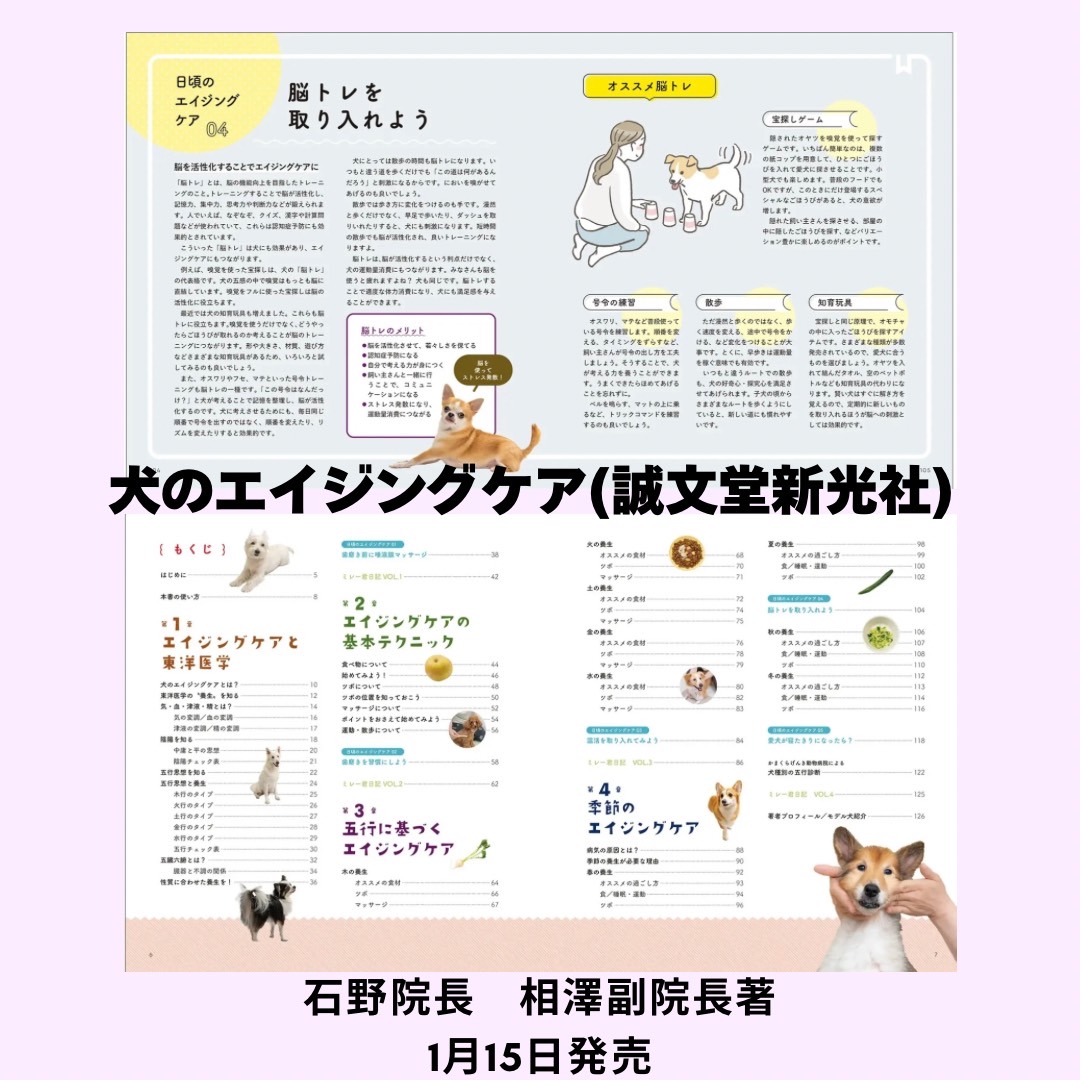 犬のエイジングケア