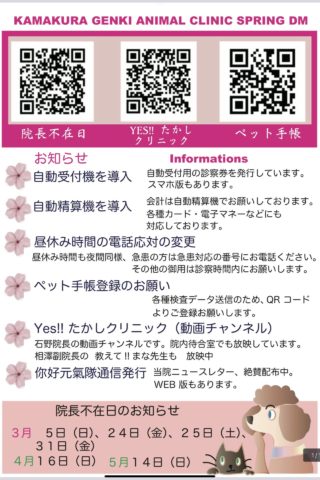 春のダイレクトメール送付