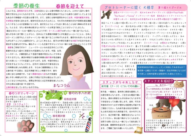 ニイハオ通信　2019年春号