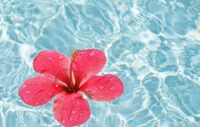 8月の定休日