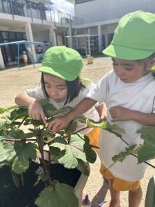 ６月のすみれ組さんです！！