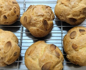 久々シュークリーム
