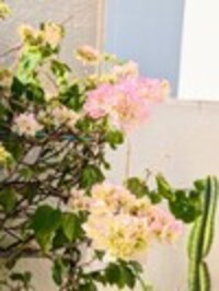 価格改定のお知らせ