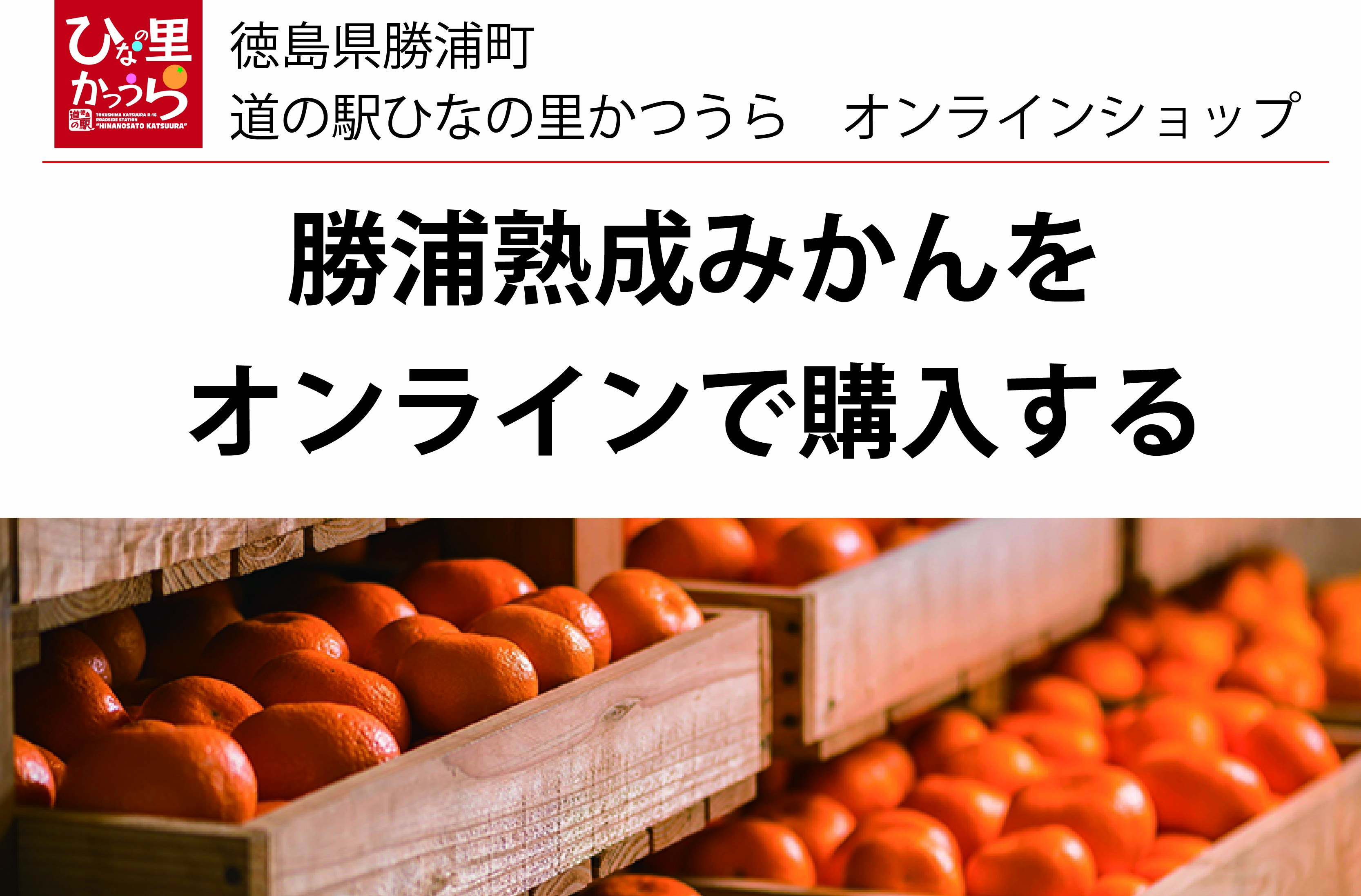 勝浦熟成みかんのご購入はぜひ当店で｜道の駅ひなの里かつうら