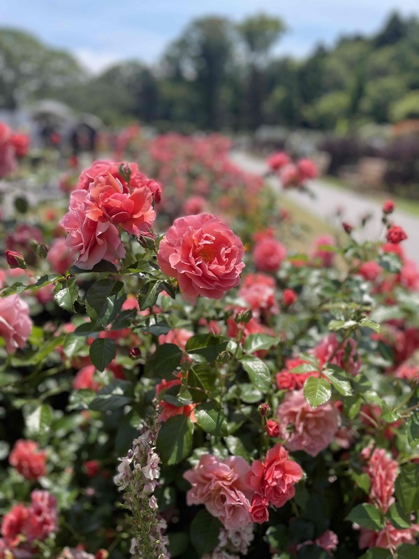 GW休暇のお知らせ