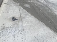 知多市　内田邸