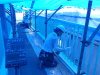 千代田歩道橋_施工状況-4（現場塗装工）