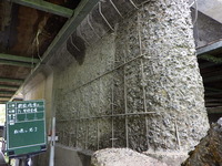 辰目沢橋_施工状況-6（断面修復工）