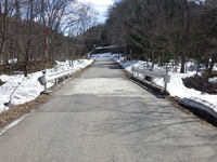 田島3_施工状況-1（地覆補修工）