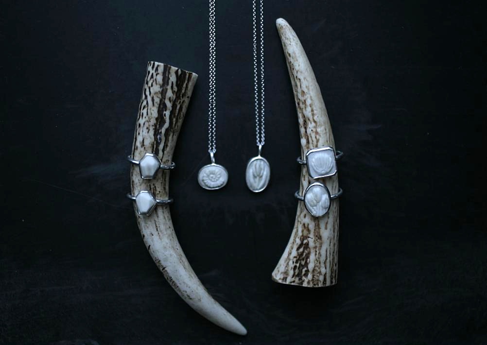 NEWCOMER 　  【 ｎｅｕｔ 】　　- pop up shop -