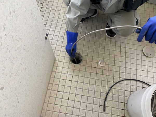 尿石取り
