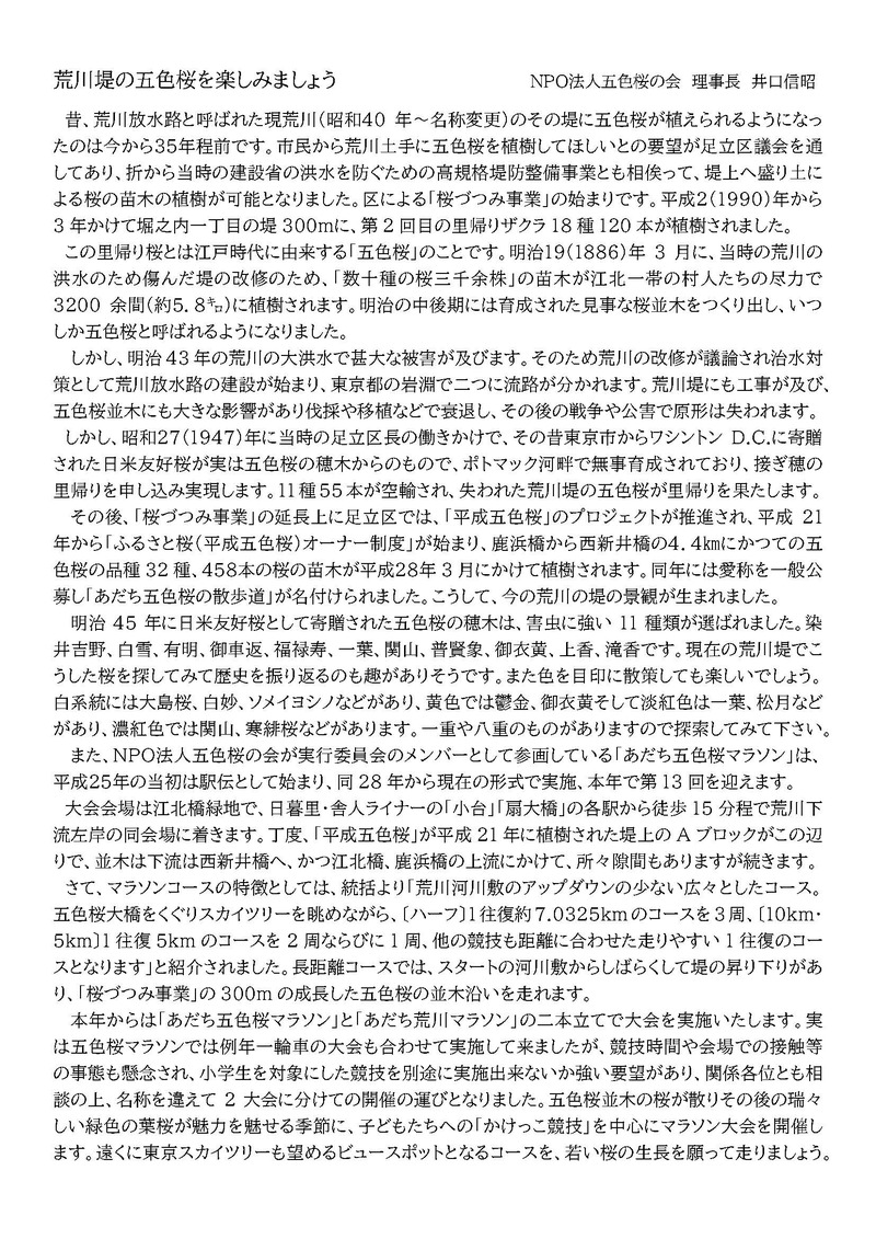 荒川堤の「里帰り桜」とマラソンの事を述べました。の画像