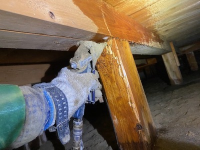 港区　白蟻防除