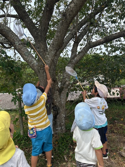 夏といえば！