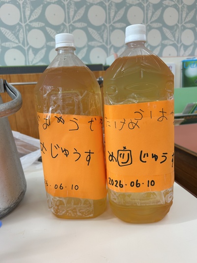 乾杯！！！