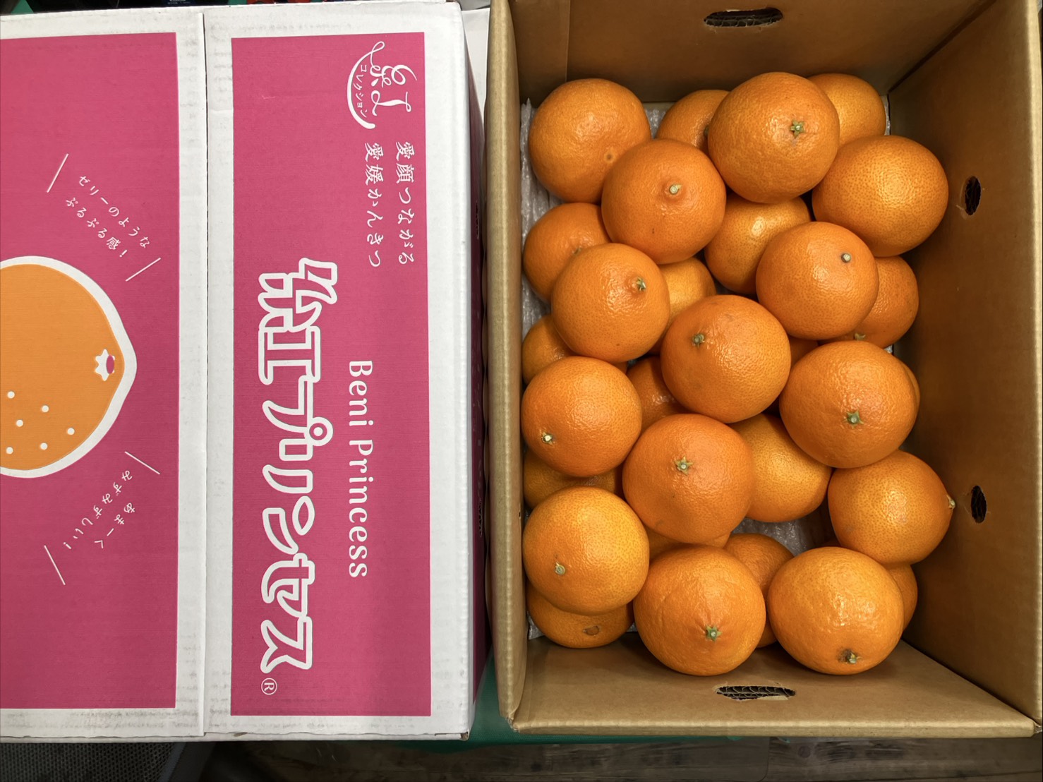 愛媛 紅プリンセス