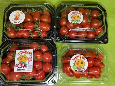 ミニトマト入荷しました！