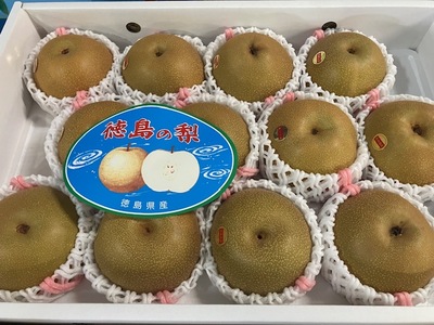 徳島の梨（豊水）入荷してます！