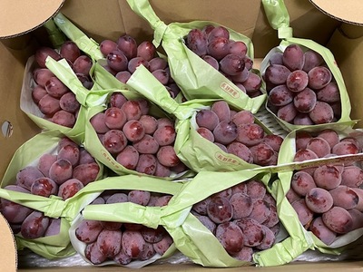 長野県産のクイーンルージュ入荷してます！