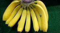 エクアドル産バナナ